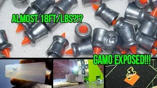 EXPOSED! Gamo RED FIRE Tested & Reviewed! THE TRUTH COMES OUT