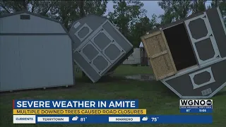 Severe weather leaves damage in Amite