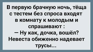 В Первую Брачную Ночь Теща с Тестем Вошли в Комнату! Сборник Свежих Анекдотов! Юмор!