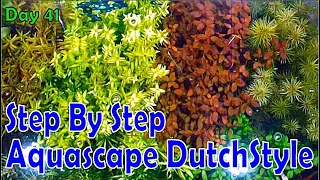 STEP BY STEP AQUASCAPE DUTCHSTYLE 50 CM