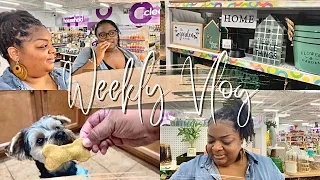 SPEND A FEW DAYS WITH ME | GETTING OUT OF THE HOUSE | DIY DOG TREATS | SHOPPING AT A FEW STORES