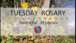 Tuesday Rosary • Sorrowful Mysteries of the Rosary 💜 April 2, 2024 VIRTUAL ROSARY - MEDITATION