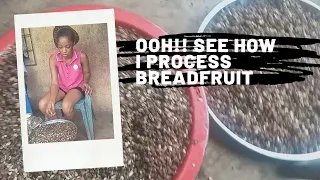 HOW TO PEEL AND PROCESS NIGERIA BREADFRUIT( UKWA) #DIMASH KUDAIBERGEN# REGINAL DANIEL# YOUTUBE#