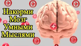 28 мудрых мыслей для мотивации на успех – Красивые и умные мысли о жизни и как стать счастливым