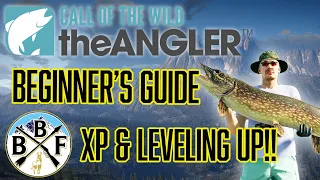 Beginner's Guide: Level Up Faster and Earn More XP!!