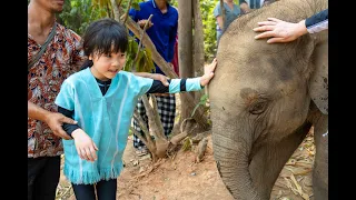 小K遊記 泰國清邁第三集- 清邁親子大象遊 #chiangmai  #thailand #elephant