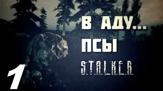 Прохождение. S.T.A.L.K..E.R. В Аду...Псы. #1. Прибытие и первое знакомство.