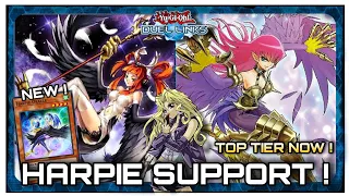 Harpie Deck ! || Harpie Oracle ! || Top Tier ! [Yu-Gi-Oh ! Duel Links]
