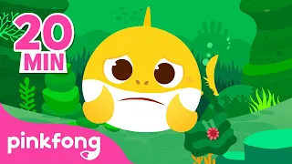 Bebê Tubarão Se Perdeu na Floresta e mais músicas infantis | Pinkfong Canções para crianças