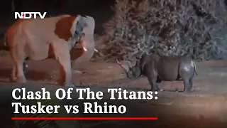 Video Of Fierce Fight Between Elephant And Rhino Goes Viral