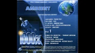 1000% The Best Of The Best Music Collection -  Ambient Vol.1 (2002)