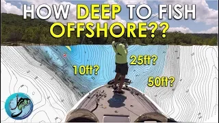 Easy Guide: How Deep Bass Live Offshore | Thermocline Explained