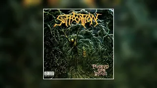 Suffocation - Pierced from Within (1995) FULL ALBUM [HQ]