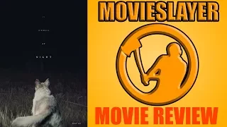 IT COMES AT NIGHT | Movie Review