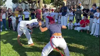 Capoeira - Roda de Rua