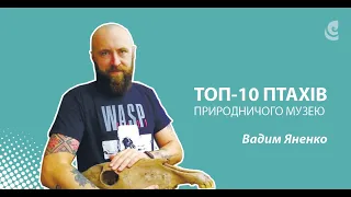 Топ-10 птахів природничого музею