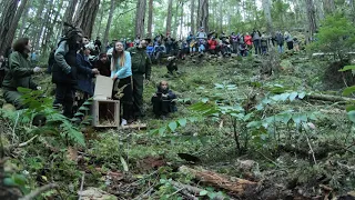 Fisher ("tree wolverine") Release in the North Cascades