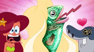 Zig & Sharko | THE SIRENS (S03E30) New Episodes in HD