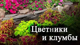 Цветники и клумбы – виды, названия и способы создания