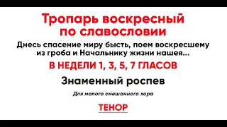 🎼 Тропарь воскресный по славословии, в недели 1, 3, 5, 7 гласов (тенор) Знаменный роспев