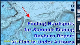 31 Fish in Less Than 4 Hours   Rayburn Report 6 4 20