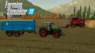 Farming Simulator 22 Уборка кукурузы Case 9250, FENDT 942