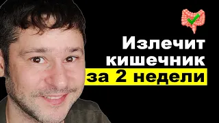 Я Проверил 8 500 Продуктов и Выбрал 3 САМЫХ ПОЛЕЗНЫХ для КИШЕЧНИКА!