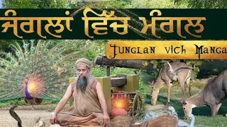 (jangle which Mangal)(ਜੰਗਲ ਵਿਚ ਮੰਗਲ )sant baba darshan singh ji Maharaj dhakki sahib wale (New song)