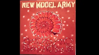 New Model Army - B-Sides & Abandoned Tracks (full album)