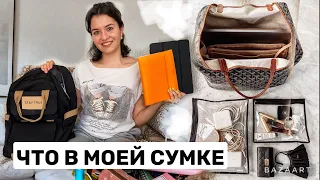 Что в сумке у юриста?:) Обзор за весь период обучения на юрфаке