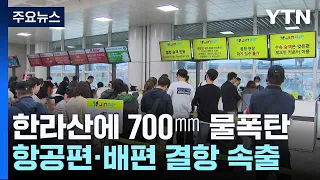 한라산에 700㎜ 물폭탄...항공편·배편 결항 속출 / YTN