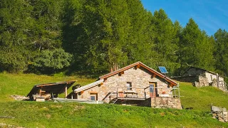 Mountain home in the woods: how to live among the mountains alone