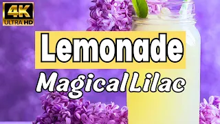 How To Make Lilac Lemonade