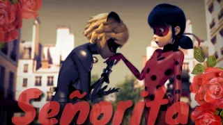 Señorita - Ladynoir || Miraculous Ladybug AMV