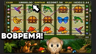 Как я ВОВРЕМЯ и ВНЕЗАПНО поставил МАСКБЭТ? Крупный выигрыш в слоте Crazy Monkey 2! Вулкан Старс 2024