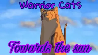 [13+] Warrior Cats Animator Tribute ~Towards The Sun~