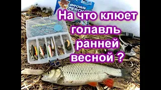 Голавль в начале апреля|| На что клюет голавль весной| Crazy Fish Arion 702