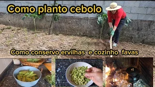 PLANTEI CEBOLO- CONSERVAR ERVILHAS- Favas com chouriço