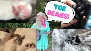 Toe Beans (to the tune of Dolly Parton's "Jolene")