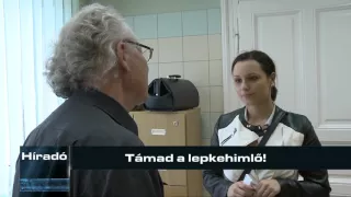 Támad a lepkehimlő!