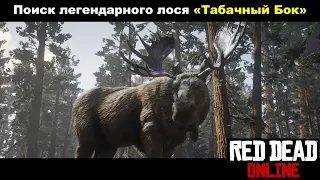 Red Dead Online: Поиск легендарного лося «Табачный Бок»