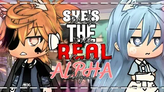 🐺She's The Real Alpha | GLMM | Gacha Life Mini Movie | Gacha Life | 🐺