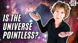 What Could Be the Purpose of the Universe?