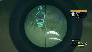 Kill Shot Compilation Birds  [The Hunter: Call of the Wild] like and sub.