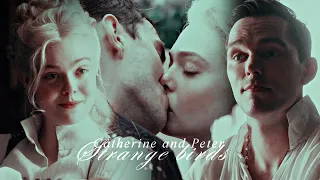 Catherine & Peter || Strange birds [+season 2]