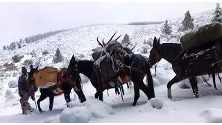 Idaho Elk Hunt - Stuck N the Rut 36