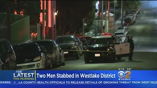 2 Men Stabbed In Reported Machete Attack