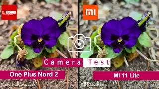 Oneplus Nord 2 vs Mi 11 Lite | Camera Comparison | Camera Test | | Tech Song |