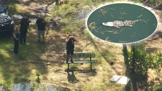 911 Call of Florida Woman Killed by Gator: 'I Think an Alligator Got This Lady'