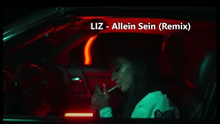 LIZ - Allein Sein (SoCreaty Remix)